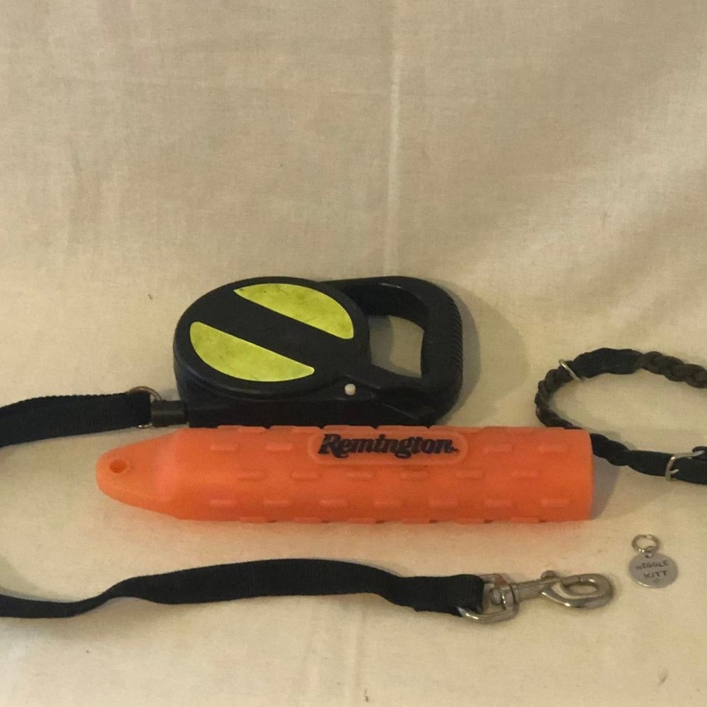 Set of 4 Doggie Retractable Leash, Collar, Tag & Toy